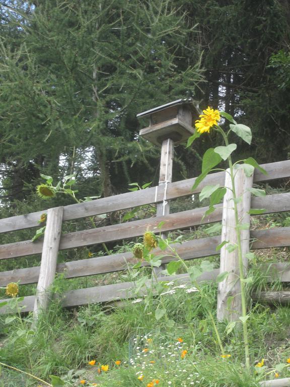 Ferienhaus Fichtenheim Prägraten Exteriér fotografie